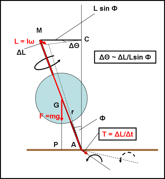 fig.7