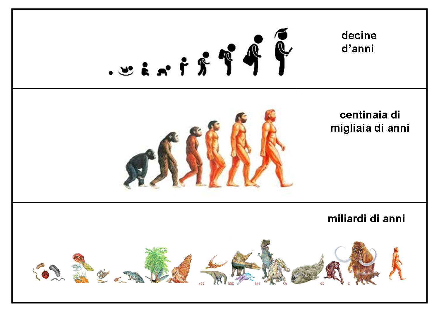 Fig.2