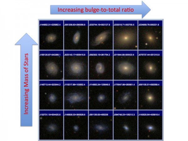 statistica galassie