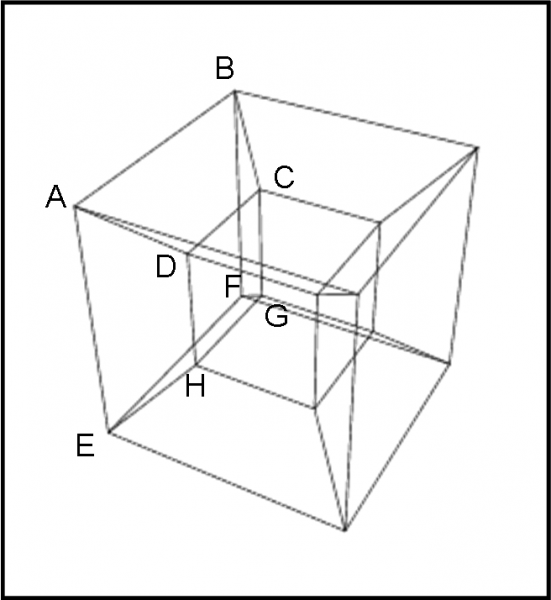 fig.8