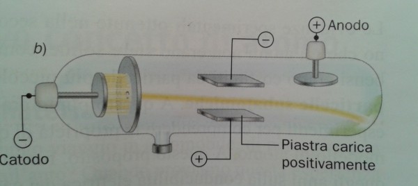 Figura 5