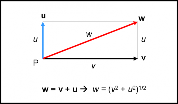 Figura 7