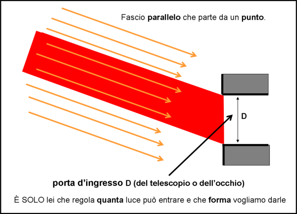 Figura 5