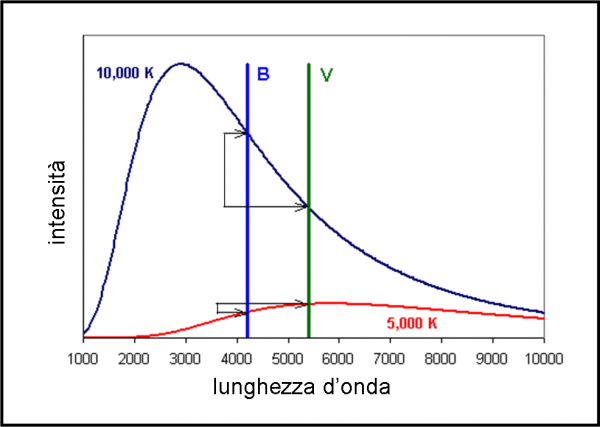 Figura 1