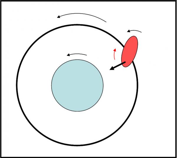 Figura 12