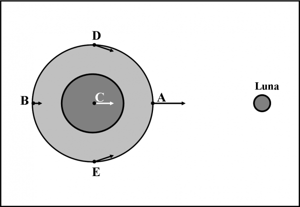 Figura 16