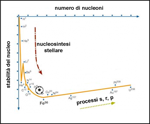 nucleosintesi
