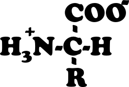 Figura 3 Questa è la struttura di un amminoacido. L'idrogeno completa il carbonio, impegnando l’ultimo legame.