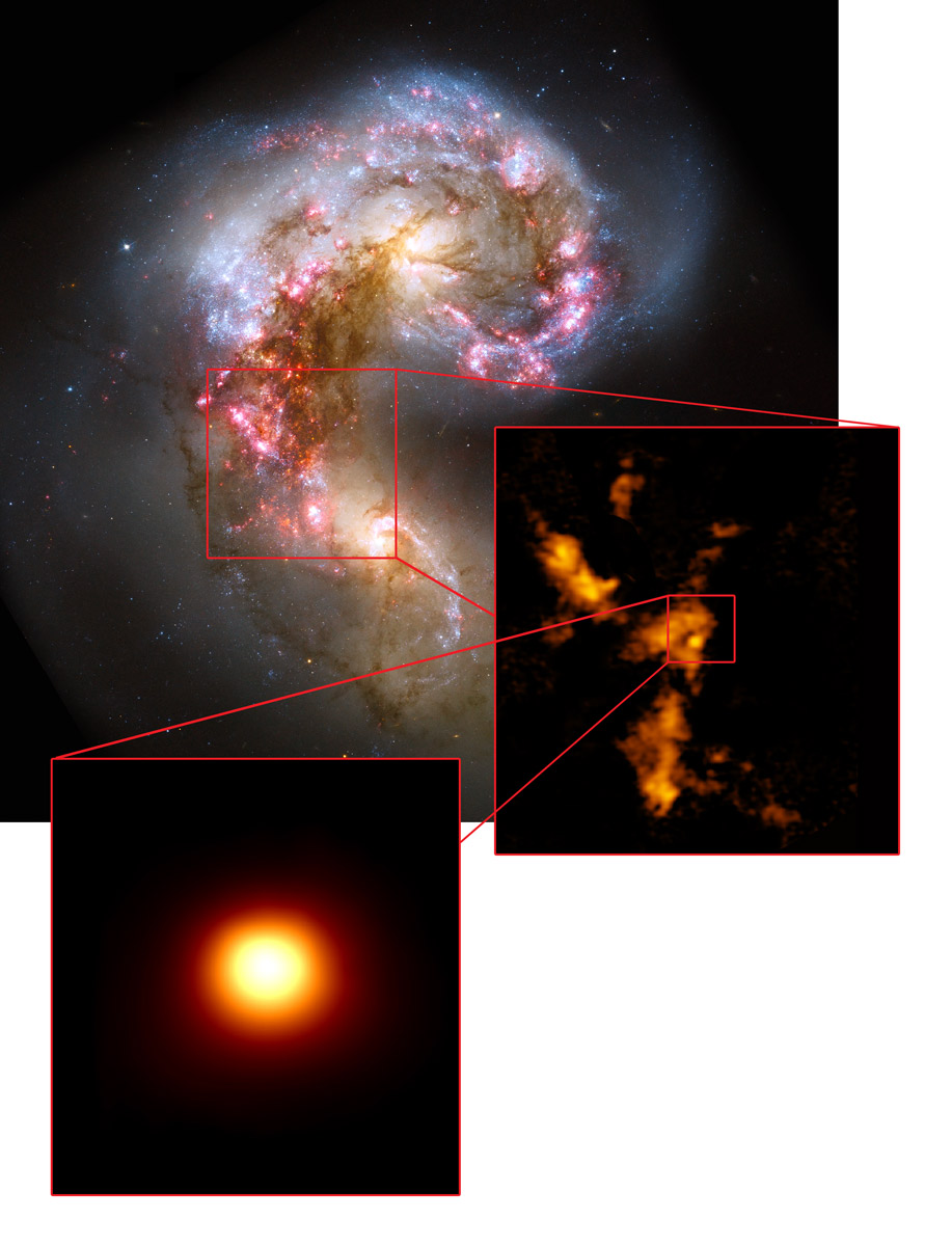 Le galassie Antenne riprese da Hubble in luce visibile (in alto). ALMA è riuscita a localizzare un certo numero di nubi molecolari ben delimitate (al centro). Una di queste, però, è risultata incredibilmente massiccia e densa (in basso). Non vi è segno di stelle attive al suo interno e può facilmente essere considerato il primo ammasso globulare visto poco prima della sua nascita. Fonte: NASA/ESA Hubble, B. Whitmore (STScI); K. Johnson, U.Va.; ALMA (NRAO/ESO/NAOJ); B. Saxton (NRAO/AUI/NSF)
