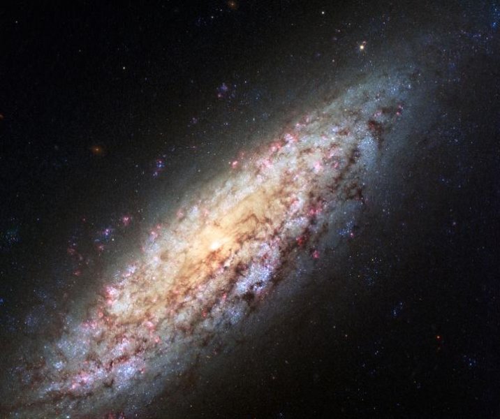 L’immagine Hubble della galassia veramente isolata NGC 6503. Fonte: NASA, ESA. 