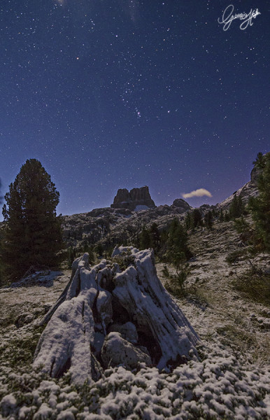 Orione è tornato