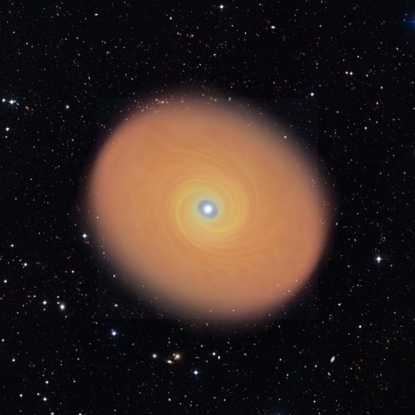 Visione artistica del disco di materia che ruota attorno alla stella di grande massa AFGL 4176 e la rifornisce di cibo. Il disco è 50 volte più grande dell’orbita di Plutone, ma le sue caratteristiche dinamiche e fisiche sono le stesse dei dischi delle stelle molto più piccole. Fonte: K.G. Johnston and ESO.