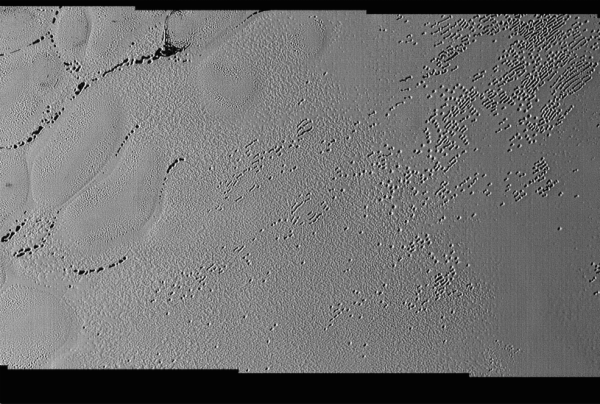 Fonte: NASA/JHUAPL/SwRI