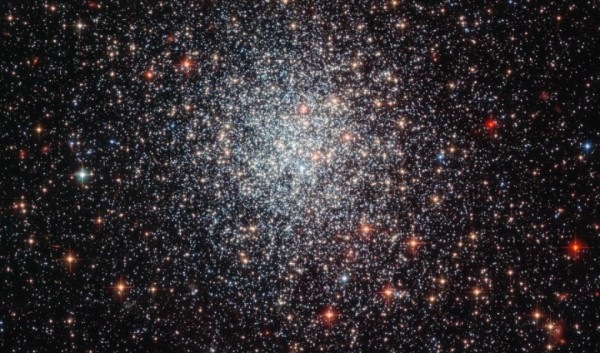 L’ammasso NGC 1783 si trova nella Grande Nube di Magellano. Esso contiene tre popolazioni stellari di età diverse che devono essersi formate attraverso l’utilizzo di gas e polvere regalatogli dallo spazio circostante. Fonte: ESA/Hubble and NASA and Judy Schmidt (geckzilla.com).