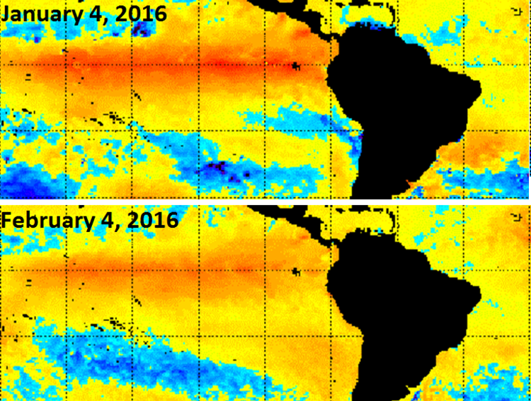 El Nino si sta spegnendo. Fonte: NOAA