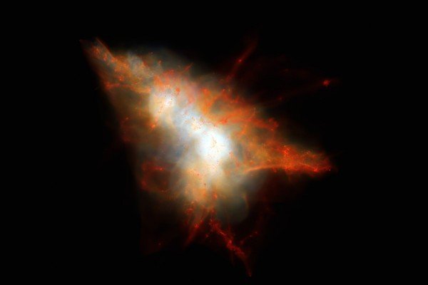 Questa immagine mostra un'istantanea presa da una simulazione cosmologica di un "blob" Lyman-Alpha. La simulazione segue l'evoluzione del gas utilizzando uno dei più recenti modelli di formazione delle galassie. Il gas freddo (soprattutto idrogeno neutro) appare rosso mentre il gas caldo appare bianco. Nascoste nel centro di questo sistema si trovano due galassie con formazione stellare elevata, circondate da gas caldo e da molte galassie satellite più piccole che appaiono qui come piccole macchie rosse di gas (sono meno luminose, ovviamente). I fotoni Lyman-Alpha sfuggono alla galassia centrale e si diffondono scontrando gli atomi del gas freddo associato alle galassie satellite per dare luogo a un "blob" Lyman-Alpha esteso. L’immagine reale concorda perfettamente con questo modello, ma è molto meno “scenografica” e molto più tecnica. Notate che io non ho parlato di materia oscura, ma solo di ciò che si può vedere e descrivere visivamente. Basta e avanza… Fonte: J.Geach/D.Narayanan/R.Crain