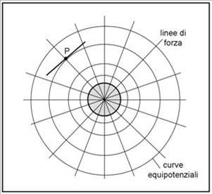 Figura 5