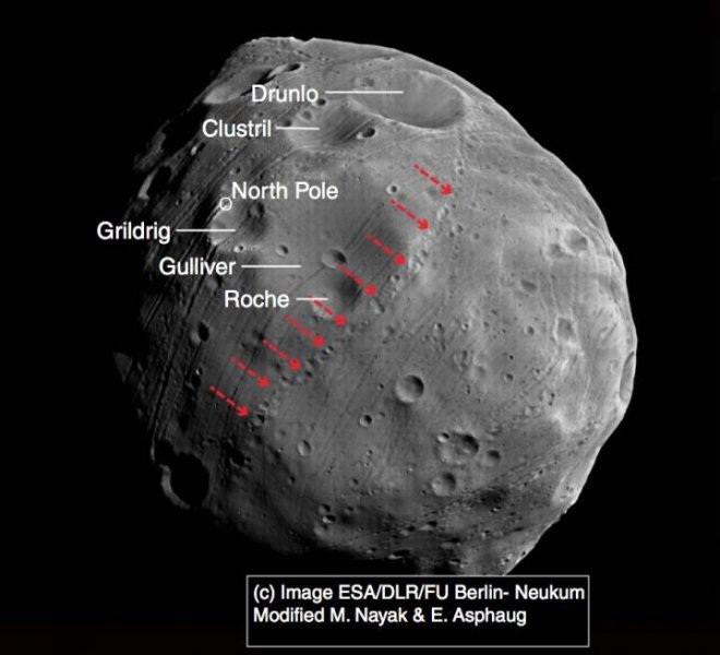 Nell’immagine di Phobos, le piccole frecce rosse indicano una catena di piccoli crateri la cui origine sarebbe legata ai frammenti espulsi dal cratere denominato Grilding. Essi avrebbero percorso un po’ di giri attorno a Marte, prima di ricadere sul satellite in cui erano nati. Fonte: ESA/DLR/FU Berlin-Neukum, modificata da Nayak e Asphaug.