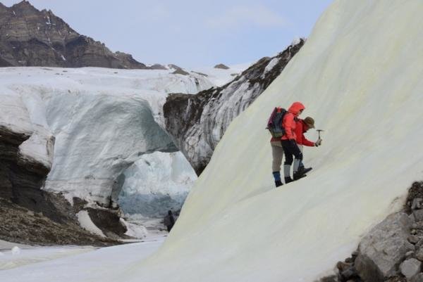 Ricercatori americani stanno recuperando bio minerali su una deposito sulfureo giallastro che si è formato su un ghiacciaio nell’artico canadese. Fonte: John Spear 