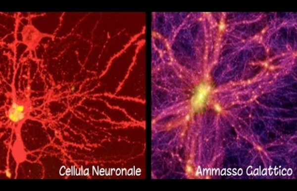 La figura confronta una cellula neuronale del cervello con un ammasso galattico. Fonte: Nature's Scientific Report