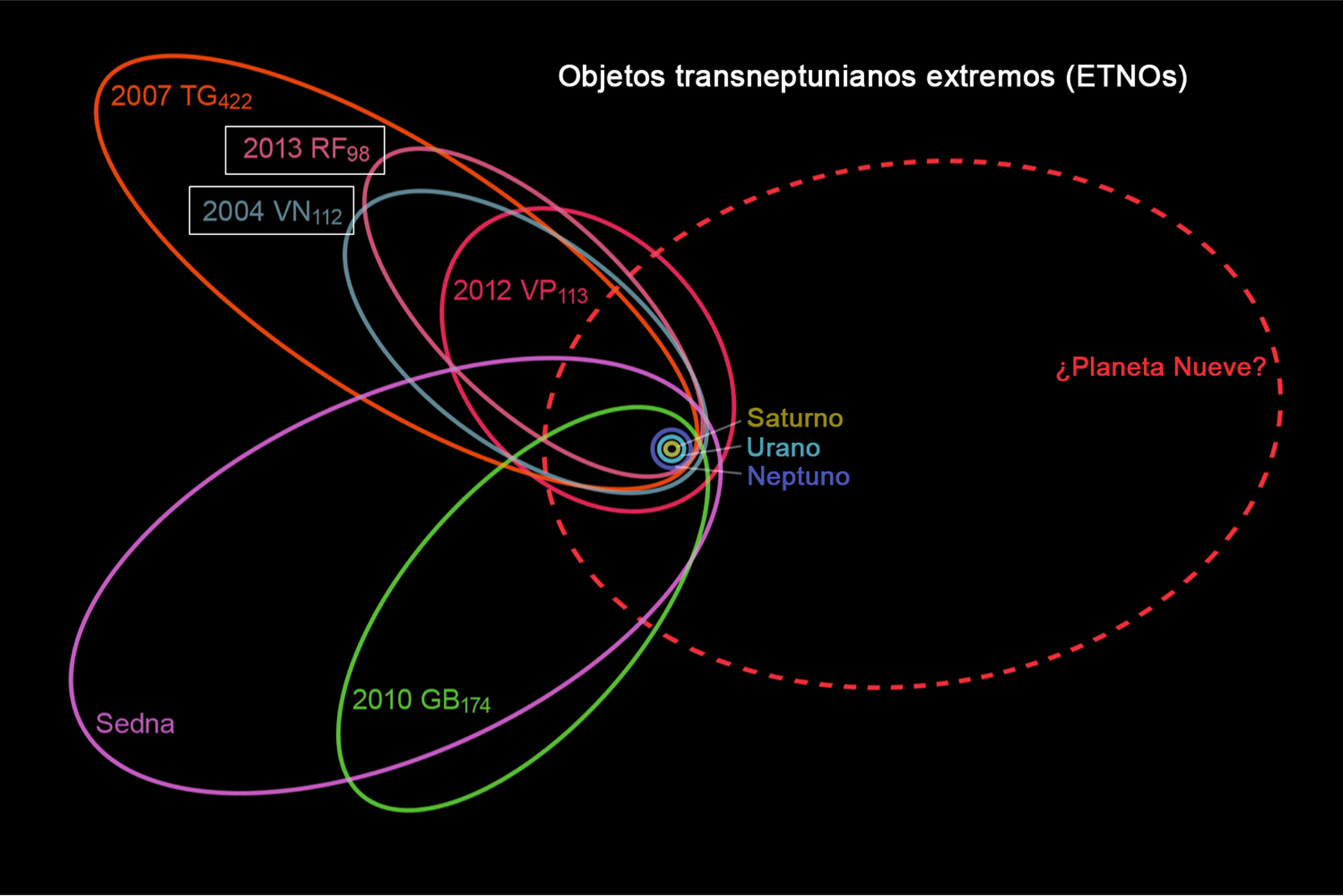 Rappresentazione schematica delle orbite di sei dei sette ETNO, usati per proporre l’ipotesi del “nono pianeta”. La curva tratteggiata rossa mostra la possibile orbita del gigante. Fonte: Wikipedia. 