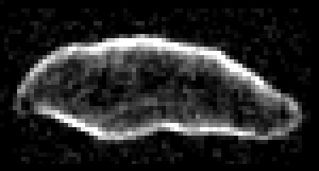1620 Geographos in un’immagine radar ottenuta proprio a Goldstone nel 1994, quando era a 7 milioni di chilometri dalla Terra. (Fonte: Steven J. Ostro, JPL, NASA)