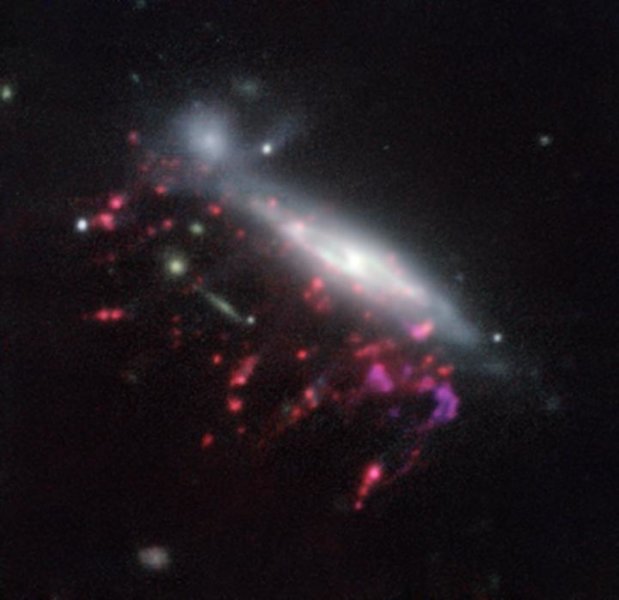 Una delle galassie “medusa” studiate nella ricerca. Fonte: ESO/GASP collaboration; CC-BY; Creative Commons Attribution 4.0 International License