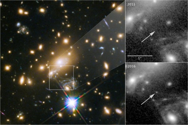 A sinistra l’ammasso galattico situato a 5 miliardi di anni luce da noi. A destra lo zoom sul quadratino di sinistra; in alto, nel 2011 e in basso nel 2016. Dove non esisteva niente è apparsa la nuova stella, senza dovere esplodere per essere vista. Credit: NASA, ESA, and P. Kelly, University of Minnesota