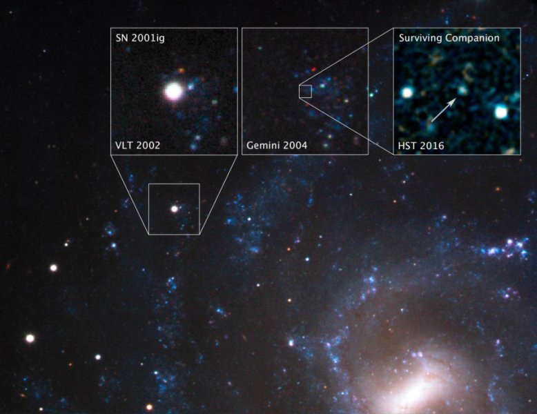 Diciassette anni fa è stata vista la supernova 2001ig nella galassia NGC 7424, a 40 milioni di anni luce di distanza. Nel 2002 il VLT ne ottenne una splendida immagine. Due anni dopo, nel 2004, il telescopio Gemini, sempre dell’ESO, scorge al limite della visibilità una stella proprio simile alla compagna che ci si poteva aspettare. Infine, nel 2016, quando ormai la luminosità della supernova era praticamente scomparsa, Hubble non ha più lasciato dubbi e la sopravvissuta si è mostrata senza problemi. Le supernove di tipo IIb possono veramente nascere in sistemi binari. Non resta adesso che trovarne molte altre… Fonte: NASA, ESA, S. Ryder (Australian Astronomical Observatory), and O. Fox (STScI)