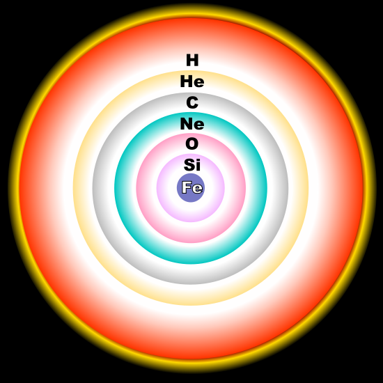 Una stellaa di massa molto superiore a quella del Sole riesce a produrre , per fusione nucleare, tutti gli elementi fino al ferro. Poco prima di esplodere come supernova sembra veramente una colossale cipolla