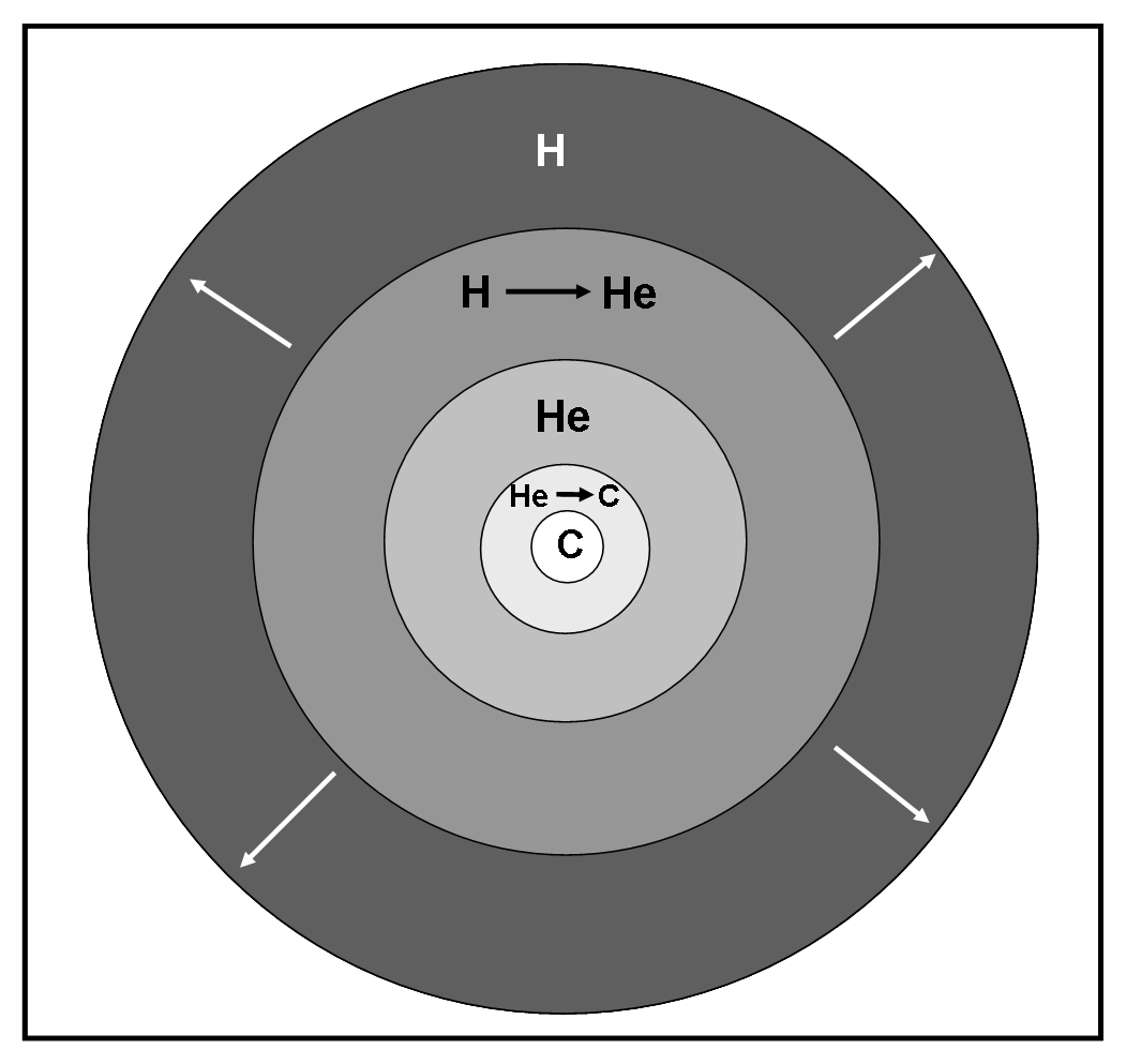 Siamo proprio alla fine... il motore si è ridotto a far bruciare un po' di elio e di idrogeno in due strati. La strttura sembra propio una cipolla, ma non riesce più a mantenere l'equilibrio. Anhe gli strati superficiali fanno come i topi in una nave che naufraga: scappano vero lo Spazio.