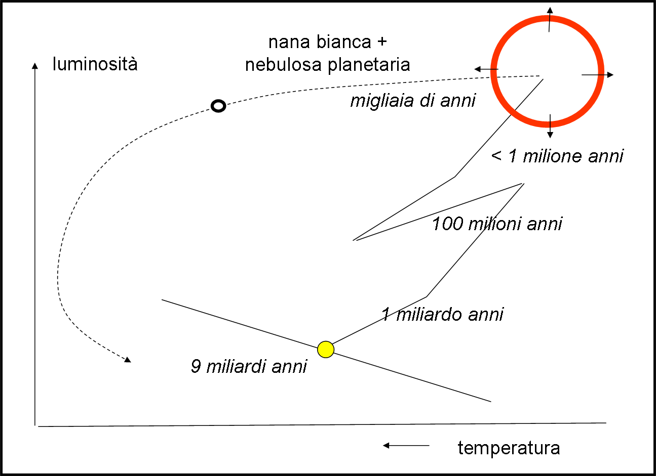 Eì la trasformazione definitiva del Sole cche si separa, praticament, in due parti: gli strati esterni vanno a formar una nebulosa planetaria (il cerchio rosso della figura che, però, non appartiene più al diagramma HR); 2) ilo nucleo di carbonio, caldissimo, ma poco luminoso a causa dele dimensioni planetarie. Al posto del Sole abbiamo una piccol e densissima nana bianca che si sistema in basso a sinistra del diagramma HR.