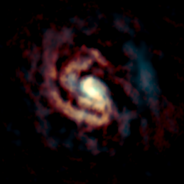 ALMA image of the gas around the supermassive black hole in the center of the Circinus Galaxy. The distributions of CO molecular gas and C atomic gas are shown in orange and cyan, respectively. Credit: ALMA (ESO/NAOJ/NRAO), Izumi et al.