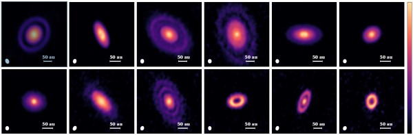 Una splenddida serie di dischi, segnati da anelli chiari e scuri, nella zona di formazzione di Orione. Fontee. 