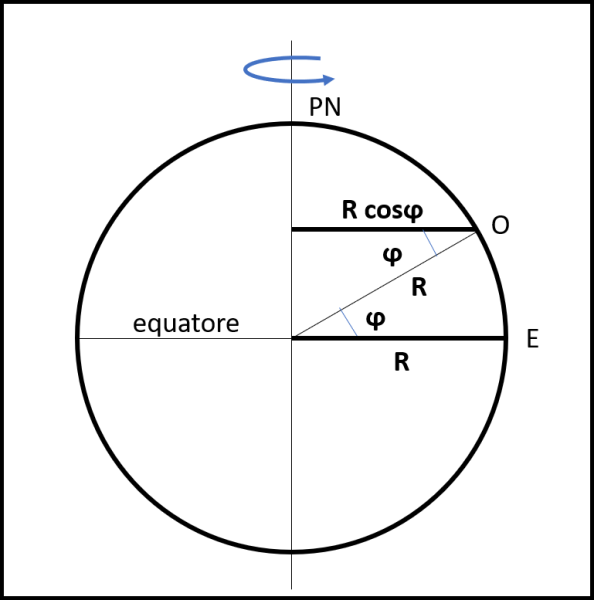 Figura 1