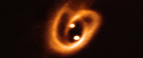 Le due stelline con il loro disco protoplanetario mentre succhiano ancora la materia dal disco-mamma originario. Fonte: ESO/ALMA
