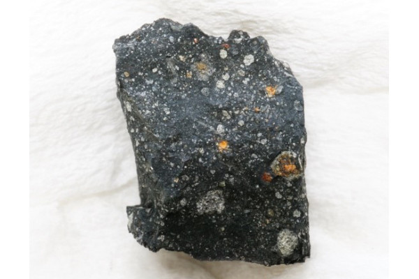 La meteorite di Murchison, una delle meteoriti in cui è stato scoperto il ribosio. Fonte: Yoshihiro Furukawa