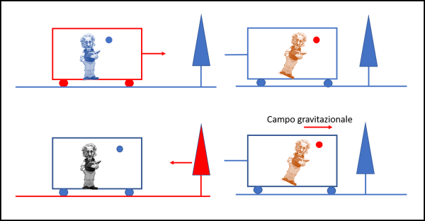 Figura 4. In alto, un osservatore esterno vede il vagone muoversi in avanti e, insieme a lui, sia Einstein che la pallina sospesa nell’aria. Ciò che si muove è stato disegnato in rosso. Tutti stanno andando a velocità uniforme. Ovviamente, abbiamo escluso la gravità terrestre. Imponiamo un’accelerazione negativa al vagone. Per semplicità la imponiamo tale che il vagone si fermi e la identifichiamo con una corda che tiri il treno dalla parte opposta. Il vagone diventa azzurro (è fermo), ma sia Einstein che la pallina continuano nel loro moto uniforme e ricevono la spinta vero destra. In basso, chi occupa il vagone si considera fermo e vede muovere verso di lui albero e terreno. Ciò che è dentro al vagone rimane in quiete. Improvvisamente si instaura un campo gravitazionale diretto versa destra. Il campo impone un movimento uguale e contrario all’albero e al terreno, per cui loro risultano fermi. Nuovamente, viene applicata una corda al vagone che lo rende immobile nel campo gravitazionale. Ne segue che gli unici che si muovono in avanti sotto l’azione del campo gravitazionale sono Einstein e la pallina.