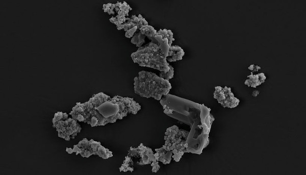 Meteorite dust fragments colonized and bioprocessed by M. sedula (© Tetyana Milojevic).