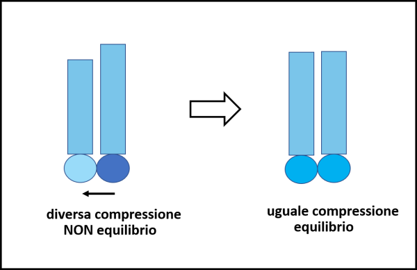 Figura 1